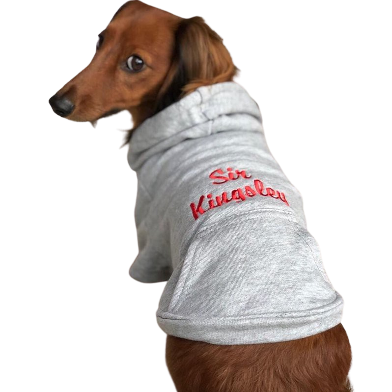 Hoodies with dog sayings sale