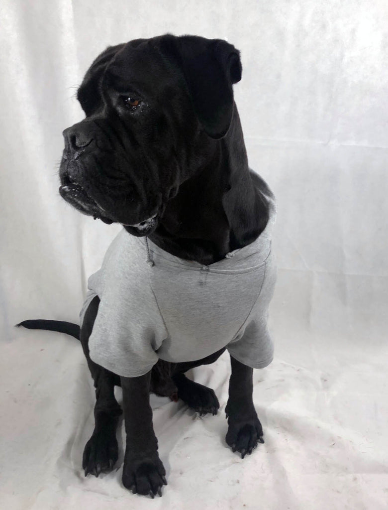 Custom DOG hoodies