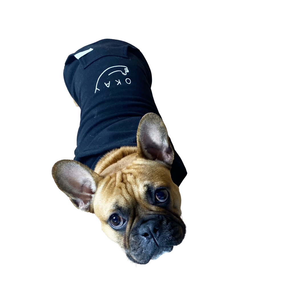 Custom dog hoodies sales