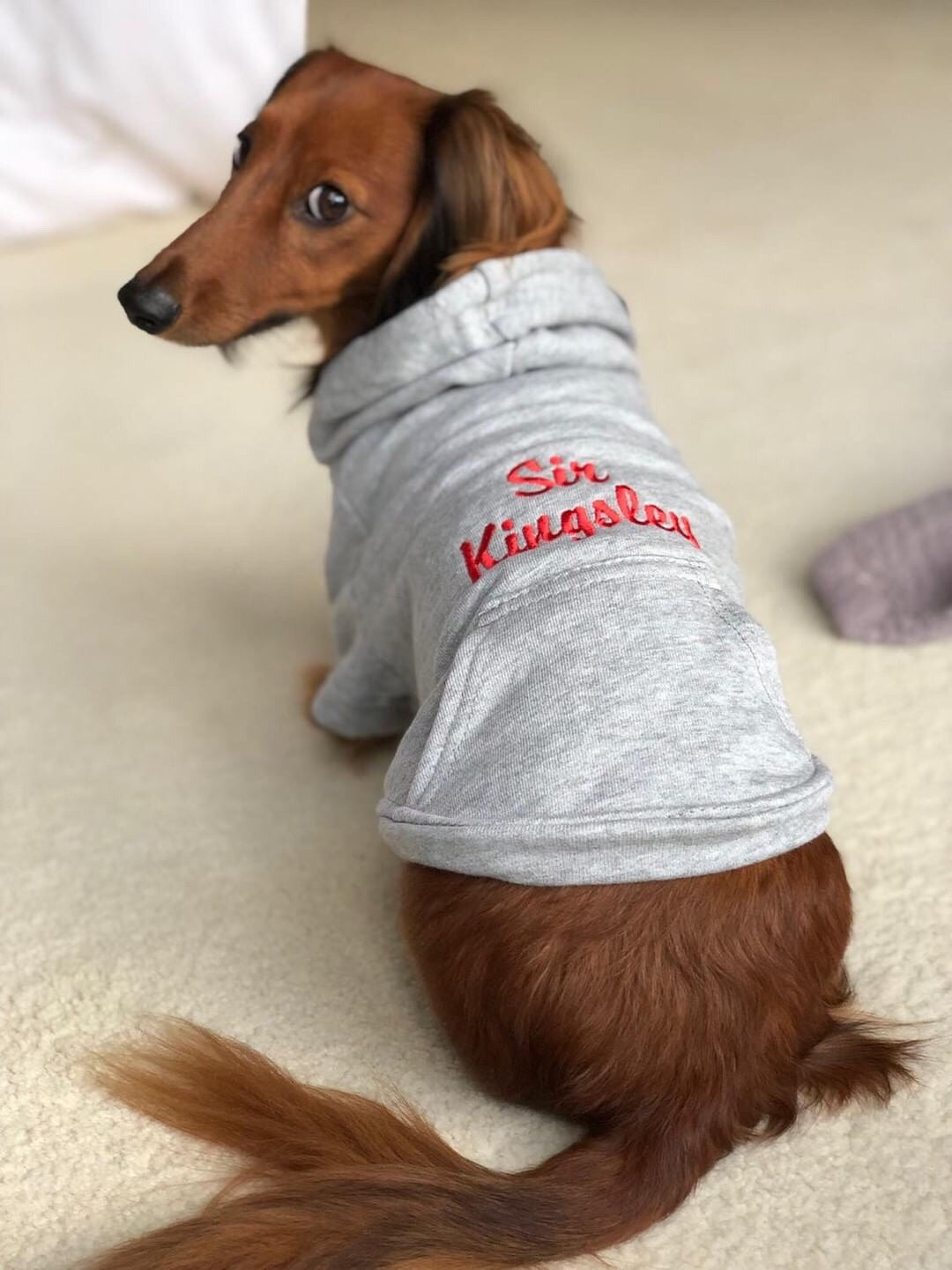 Dachshund hoodie for dogs best sale