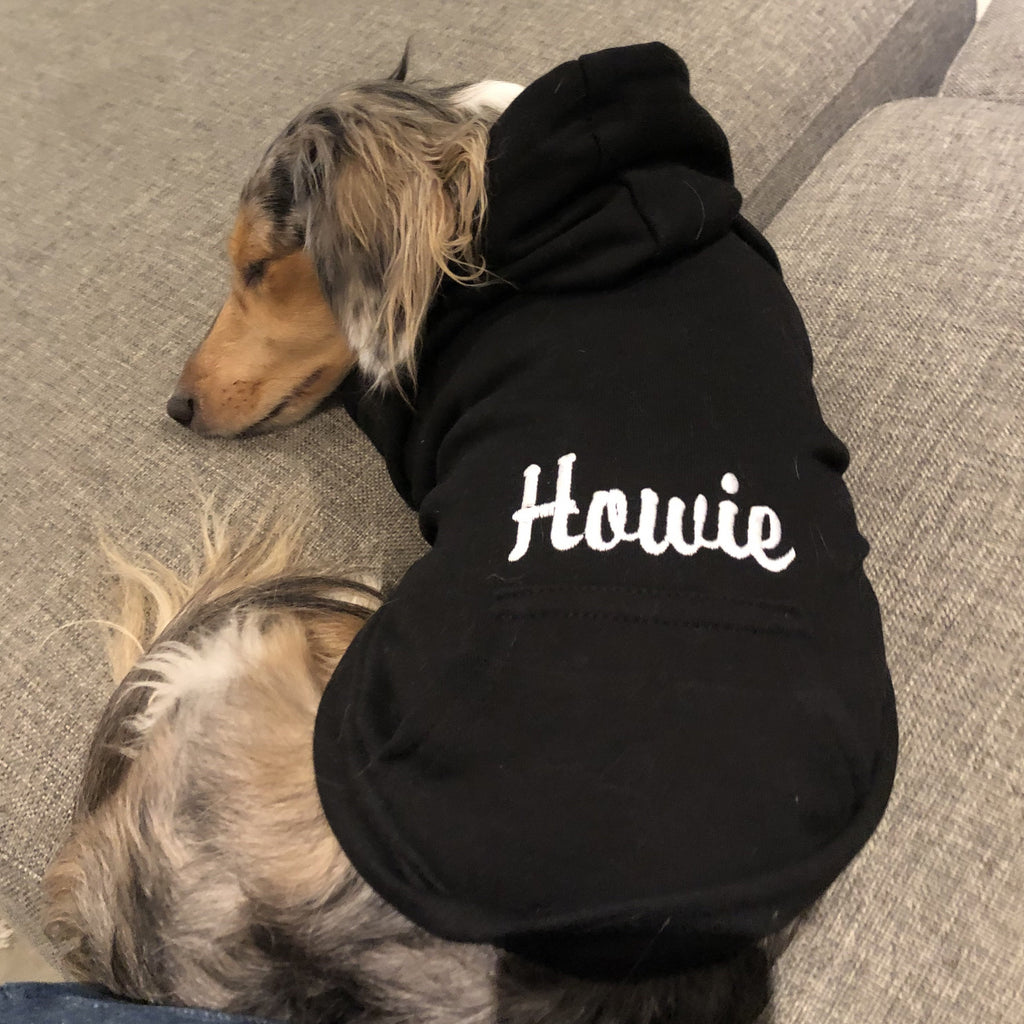 Custom DOG hoodies for Dachshunds